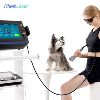 Appareil de thérapie laser de classe IV pour usage vétérinaire, pour la récupération post-traumatique et la cicatrisation des plaies chez les animaux