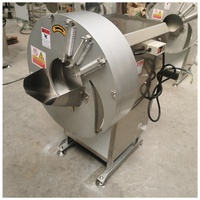 Machine à hacher et à trancher le gingembre 300-600 kg/h, coupe-bambou, machine de transformation des légumes