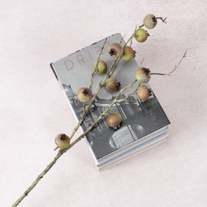 New Chinese Zen-style 11-stem Single Artificial Silk Flower Arrangement Faux Green Plant Homestay <b>Decor</b> Accessories Foam-based - Product Image 2