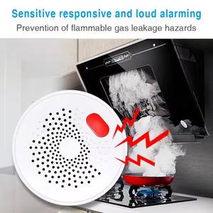 Mutfak pişirme için Zigbee akıllı ev <span class=keywords><strong>IPG</strong></span> gaz kaçak dedektörü doğal gaz Alarm dedektörü gaz kaçak dedektörü - Product Image 5
