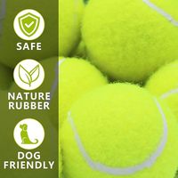 Jouet pour animaux de compagnie, balle de tennis pour chiot de petite taille, OEM/ODM, caoutchouc durable, mini balle de 2 pouces, jeu d'entraînement et de chasse en intérieur