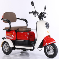 Scooter électrique personnalisé 10 pouces 600w/800w/1000w 60V/72V 3 vitesses, tricycle à pousser/tirer, trois places, 35 km d'autonomie