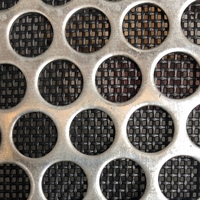 Tôle perforée en aluminium à trous ronds, en acier inoxydable 304 316, galvanisée, pour la décoration