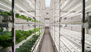 Componentes Centrales PLC con Control Remoto WiFi para Sistemas de Cultivo Hidropónico Comercial en Contenedores para Vegetales de Hoja, Pasto y Microgreens - Product Image 2