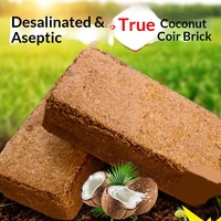 Briques de fibre de coco compressée, substrat en fibres de coco, tourbe de coco, support de culture pour terreau de potager et herbes aromatiques