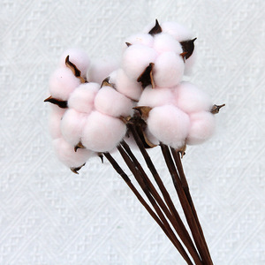 Wholesale DIY Dry <strong>Cotton</strong> Plant Bouquet Preserved <strong>Cotton</strong> Branches Natural Dried <strong>Cotton</strong> Flowers <strong>Stems</strong> - Product Image 6