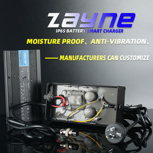 14,6 V 8a 10amp Lifepo4 Cargador de batería Ventas directas de fábrica Puede definir el proceso de producción a prueba de agua - Product Image 4