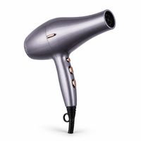 Sèche-cheveux électrique professionnel en gros, vent puissant, ions négatifs, voyage, 3000 W, air chaud et froid