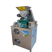 Machine automatique de fabrication de nouilles de riz Machine d'extrudeuse de vermicelles de nouilles de maïs Machine de fabrication de vermicelles de riz