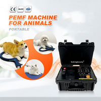 Appareil de thérapie PEMF portable certifié CE pour améliorer les performances sportives, machine de thérapie PEMF pour ranch équestre