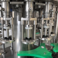 Remplisseuse rotative à contre-pression automatique pour machine d'embouteillage de vin de raisin avec mise en conserve de liquide