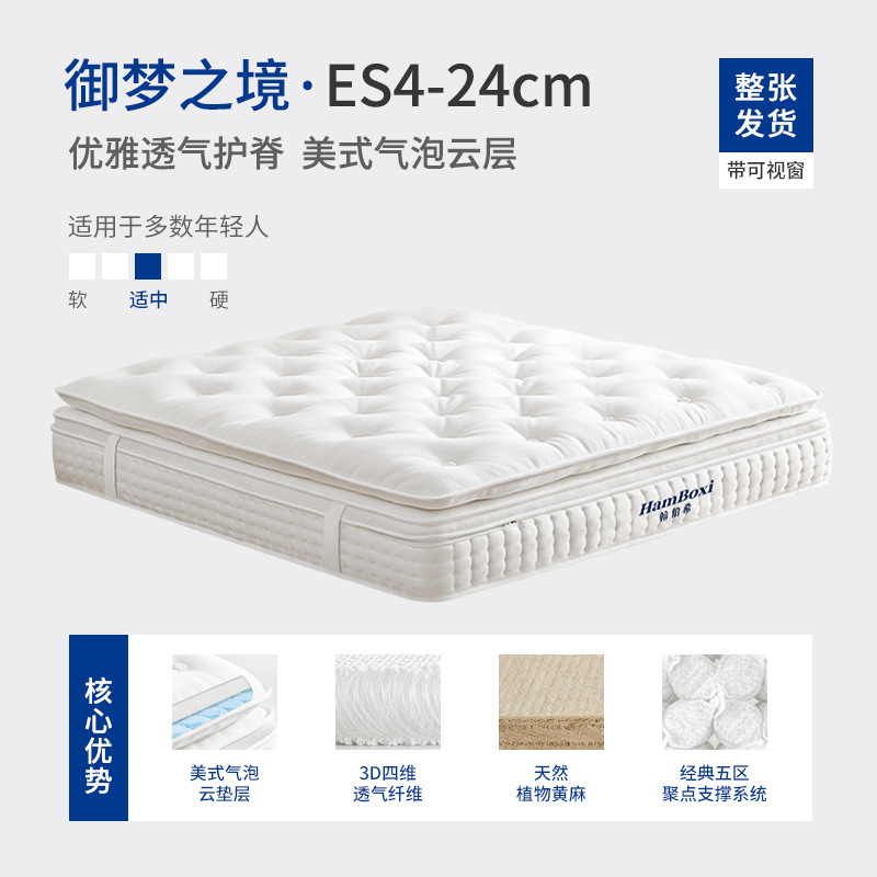 ดรีมแลนด์ ES4: สง่างาม ระบายอากาศได้ดี และปกป้องหลัง