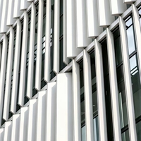 Mur-rideau vertical moderne extérieur, revêtement de façade décoratif, système de ventilation réglable, protection solaire, lamelles en aluminium