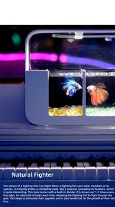 Meilleur vendeur : Aquarium de bureau écologique créatif en acrylique Douyu, multi-compartiments, méduses au clair de lune pour la maison, aquarium éco-responsable pour les personnes paresseuses - Product Image 6