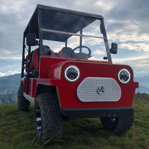 Nouvelle tendance, direction assistée électrique AC 5kw, véhicule électrique Utv, gaz, Lithium, chariot de Golf - Product Image 4