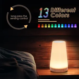 밤 빛 LED 터치 침대 옆 테이블 램프 원격 제어 Dimmable 빛 RGB 색상 변경 USB 충전식 휴대용 램프