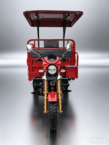 Tricycle motorisé à essence à 3 roues, robuste, à carrosserie ouverte, capacité de charge élevée 400 kg+, 5 vitesses, 151-200 cm³, 70 km/h, poids 140 kg - Product Image 1