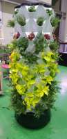 Système hydroponique vertical rotatif pour légumes/fleurs, commercial/intérieur, One One