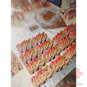 Modèle d'entraînement médical HC-R126A, modèle de peau de chien, modèle de chien pour la pratique - Product Image 3