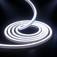 Tira de Luz LED de Neón de 1616 mm, 24 V, Resistente al Agua IP67, Flexible para Exteriores, Silicona Duradera, Alto CRI 90, Triple Capa, de Fabricante Confiable