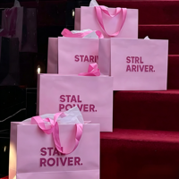 Bolsa de Compras de Papel Rosa Claro con Estampado de Líneas de Sujetador Rosa Oscuro, Asa de Cuerda Gruesa, Bolsa de Embalaje para Boutique de Lencería