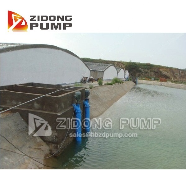 seawater lift pump