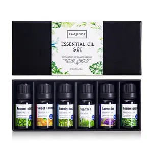 OEM Set Minyak Esensial Botol 10Ml, 100% Murni Penyebar Aroma Alami Minyak Esensial untuk Lilin