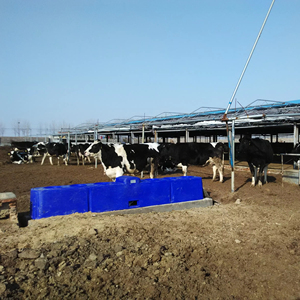 Système de chauffage de volaille potable à température constante bleue abreuvoirs de ferme équipement potable pour animaux <span class=keywords><strong>abreuvoir</strong></span> pour bétail - Product Image 2