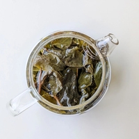 Thé Oolong au Lait Bio Sans Sucre, Arôme Lacté Intense, Vente en Gros pour Consommation Quotidienne