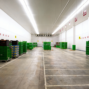 <span class=keywords><strong>ตู้</strong></span>แช่แข็งสำเร็จรูปสำหรับเก็บอาหารทะเล ผลไม้ และผัก พร้อมติดตั้ง <span class=keywords><strong>2</strong></span> <span class=keywords><strong>ประตู</strong></span> ขนาดปรับแต่งได้ คุณภาพสูง - Product Image 3