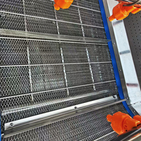 YouBan Factory OEM SUS304 Automatische fruit- en groentewasmachine met ozon & hogedruksproeier