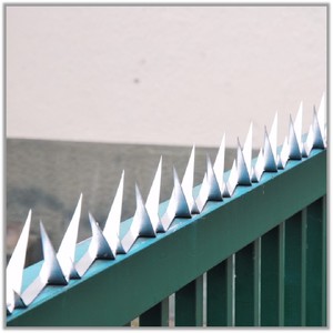 Inbraakwerende Anti-Klim Veiligheidspieken Roestvrijstalen Prikkeldraad Gegalvaniseerde Muurbeschermingsbarrière - Product Image 2