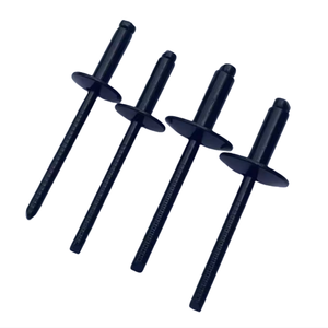 Rivets aveugles à tête plate en acier inoxydable, peints <span class=keywords><strong>blanc</strong></span> et noir RAL, 4,8*10*16mm - Product Image 1