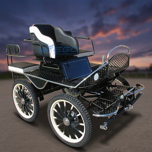Vente directe d'usine : Chariot de luxe pour mini-marathon, chariot tiré par des chevaux /jinrikisha/chariot à traction manuelle - Product Image 1