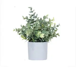 Mini piante artificiali in vaso di vetro ha"ia in vasi piccola pianta con vaso