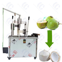 Machine Industrielle à Éplucher la Peau de Noix de Coco, Machine à Découper les Noix de Coco à Diamant