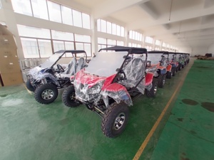 Dune Buggy a Gas 4 Tempi Fuoristrada con Omologazione EPA per Intrattenimento e Sport all'Aperto Renli 200cc Tutto Terreno per Adulti - Product Image 6