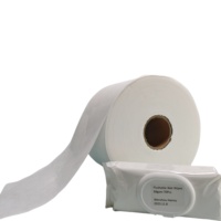Usine En Gros Blanc Rouleau D'eau Rinçable Airlaid Spunlace Tissu Non Tissé Papier Toilette pour Lingettes Humides