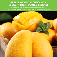 Poudre de jus de mangue naturelle, poudre de mangue sèche, poudre de mangue biologique aromatisée à la mangue