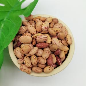 ความชื้น15% สูงสุดธัญพืชสุขภาพใหม่ล่าสุดพืชอาหารยาวรูปร่างรอบแสงจุดด่างดำไต Pinto ถั่ว - Product Image 2