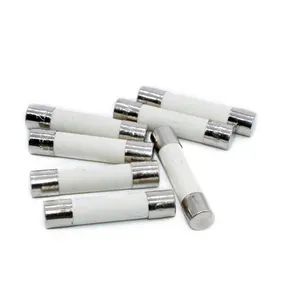 10pcs Ceramic Tube Fuse Axial Leads 3.6*10mm 0.5A Quick Fast Blow  Pl 