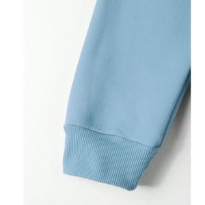 Wholesale Athletic 100% Cotton Gym Hoodies for Men Comfortable Oversized Multi-Colors 3D Embroidery Applique Spring Print - Product Image 6