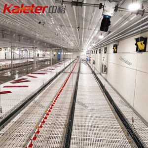 Broiler ebeveyn yetiştiriciliği için otomatik tavuk çiftlik ekipmanları kanatlı zincir besleyici sistemi Coop tavuklar ve damızlık ev besleme hattı - Product Image 2