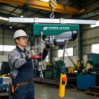 Mini-grue électrique de 800 kg, petit palan à chaîne avec interrupteur d'arrêt d'urgence et protection thermique pour la construction d'entrepôts