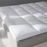 Vente en gros Hôtel 5 étoiles Lit simple Twin Queen Matelas Tissu Oreillers Coussins Maison Chambre moderne Luxe King Size Matelas en mousse