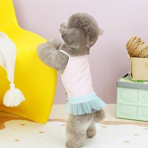 Nouvelle robe en maille fine d'été pour animaux de compagnie pour <span class=keywords><strong>Yorkshire</strong></span>, Pomeranian, <span class=keywords><strong>Bichon</strong></span>, Schnauzer, Teddy, petits chiens - Product Image 6