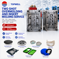Servicio de Moldeo por Inyección de Doble Color de Dos Componentes, Insertos de TPE/TPU, Componentes Plásticos Personalizados, OEM/ODM, Certificación ISO, Sistema de Canales Calientes