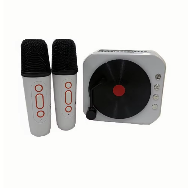 Portable Smart Mini Karaoke Machine for 5.0 RGB LED Wireless Microphone 2-Mic Retro Style Record Smart Speaker Parties
