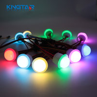Carnaval 26mm Pixel LED changeant de couleur lampe PVC corps 12V éclairage de fête foraine pour parc d'attractions parc à thème et carrousel