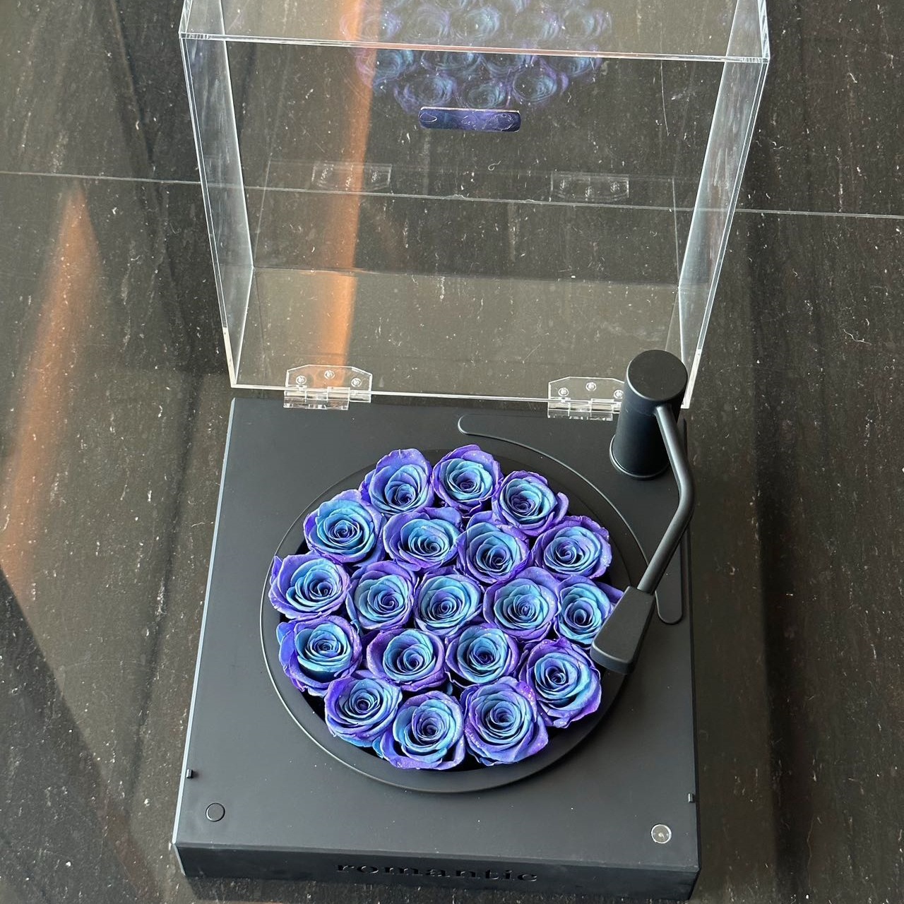 Black bottom phonograph-333318cm-galaxy rose series